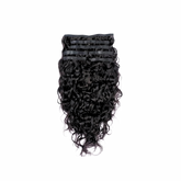Deep Wavy Seamless Clip Ins